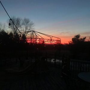 Meet your Posher, Bella